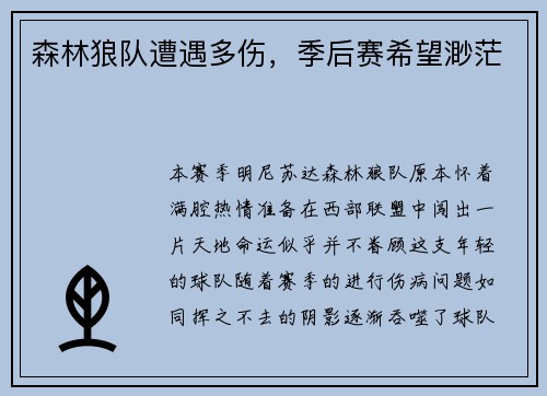 森林狼队遭遇多伤，季后赛希望渺茫